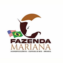 GRUPO FAZENDA MARIANA