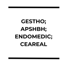 GESTHO, APSHBH, ENDOMEDIC LTDA, CEAREAL LTDA