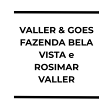 VALLER & GOES - GESTÃO E ADMINISTRAÇÃO DE BENS; FAZENDA BELA VISTA - HOLDING Ltda e ROSIMAR VALLER