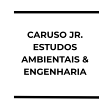 CARUSO JR. ESTUDOS AMBIENTAIS & ENGENHARIA LTDA