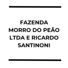 FAZENDA MORRO DO PEÃO LTDA E RICARDO SANTINONI