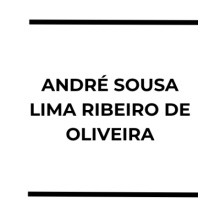 ANDRÉ SOUSA LIMA RIBEIRO