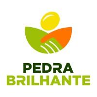 LOGO PEDRA BRILHANTE